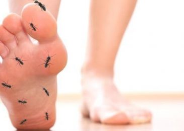 Điều gì gây ra cảm giác kiến bò ở bàn chân hoặc bàn tay?