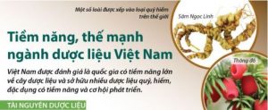 duoclieu-vietnam
