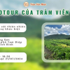 Ecotour – Hành trình hòa mình vào thiên nhiên và văn hóa