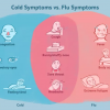 Cúm và cảm lạnh, có gì giống và khác nhau?