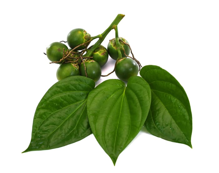 Phối hợp lá trầu không với nguyên liệu khác giúp tăng hiệu quả Phối hợp lá trầu không với nguyên liệu khác giúp tăng hiệu quả
